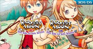 Harvest Moon: The Tale of Two Towns - Análisis