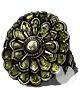 Dark Souls Remastered, Accesorios, Anillos, Anillo de Cloranthy