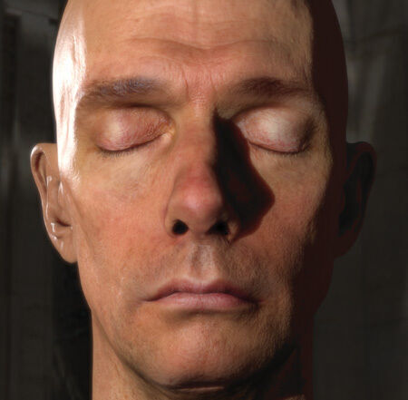 El renderizado en tiempo real de una cabeza humana para que tuviera este aspecto se llevaba casi todos los recursos de una GeForce 8800 hace aproximadamente 15 años. (Imagen extraída de GPU Gems 3).